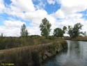 MEDINA DE RIOSECO - CANAL DE CASTILLA (148)