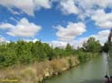 MEDINA DE RIOSECO - CANAL DE CASTILLA (156)