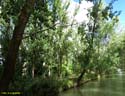 MEDINA DE RIOSECO - CANAL DE CASTILLA (159)