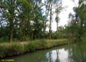 MEDINA DE RIOSECO - CANAL DE CASTILLA (160)