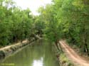 MEDINA DE RIOSECO - CANAL DE CASTILLA (172)