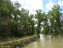 MEDINA DE RIOSECO - CANAL DE CASTILLA (205)