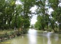 MEDINA DE RIOSECO - CANAL DE CASTILLA (206)