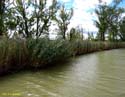 MEDINA DE RIOSECO - CANAL DE CASTILLA (210)