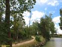 MEDINA DE RIOSECO - CANAL DE CASTILLA (211)