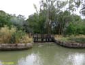 MEDINA DE RIOSECO - CANAL DE CASTILLA (219)