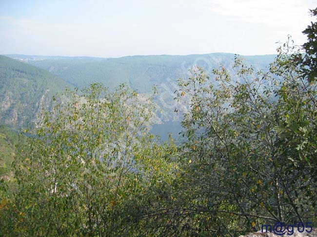 CAÑONES DEL SIL - ORENSE 018