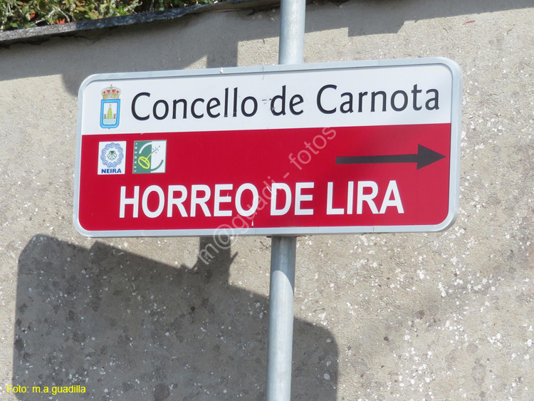 CARNOTA (115) HORREO DE LIRA