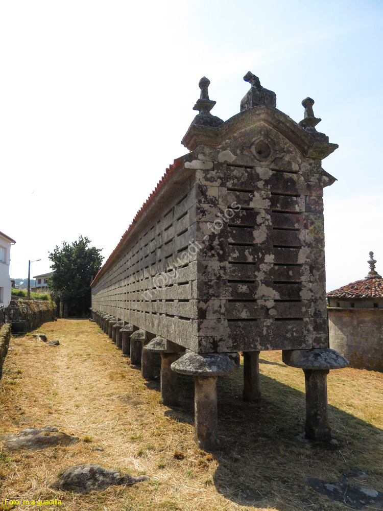 CARNOTA (119) HORREO DE LIRA