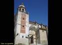 CARRION DE LOS CONDES (155)