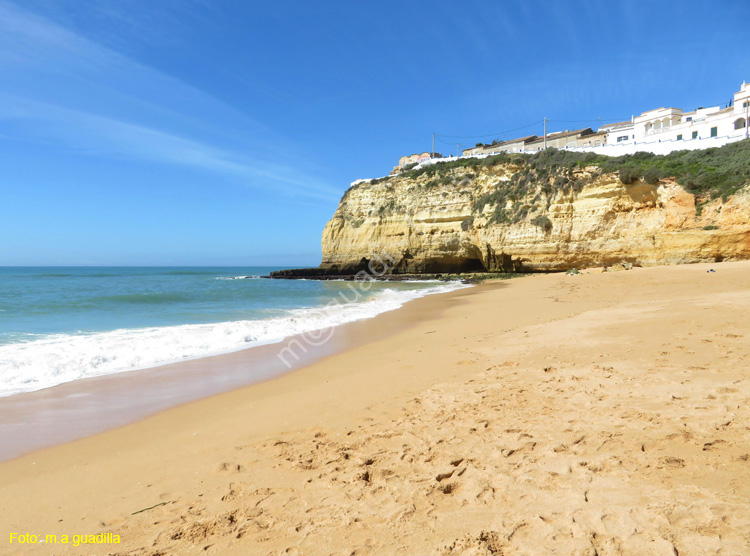 CARVOEIRO (107)