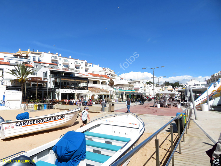 CARVOEIRO (109)