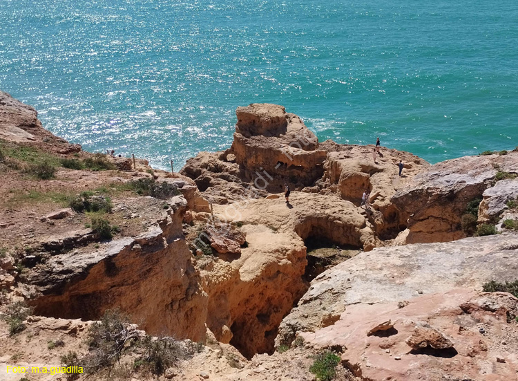 CARVOEIRO (122) Algar Seco