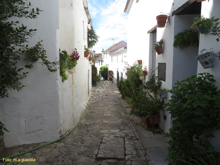 CASTELLAR DE LA FRONTERA (118) Villa Fortaleza