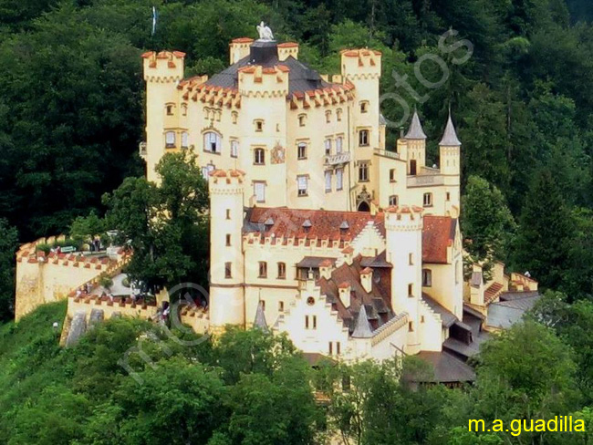 BAVIERA - Castillo de Hohenschwangau 003