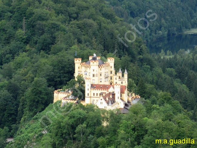 BAVIERA - Castillo de Hohenschwangau 007