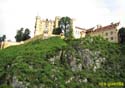 BAVIERA - Castillo de Hohenschwangau 001