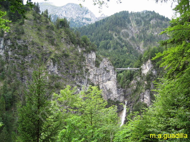 BAVIERA - Castillo de Neuschwanstein 016