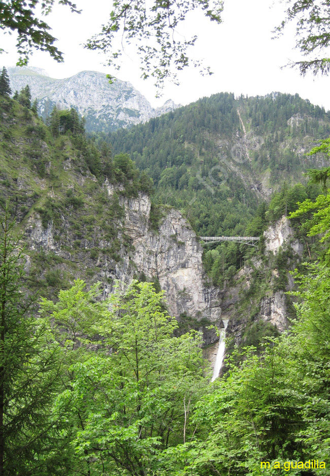 BAVIERA - Castillo de Neuschwanstein 018