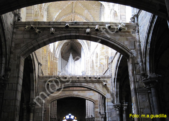 CASTRO URDIALES (119)