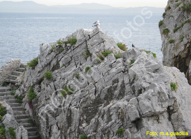 CASTRO URDIALES (151)