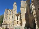 CASTROJERIZ (240) Ruinas de San Anton