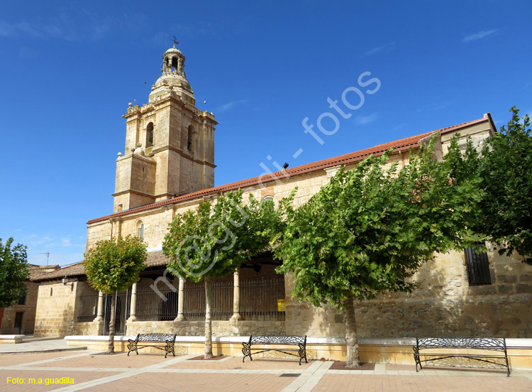 CASTROMONTE (102)