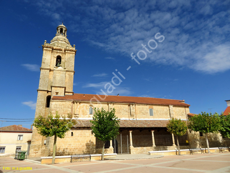 CASTROMONTE (103)