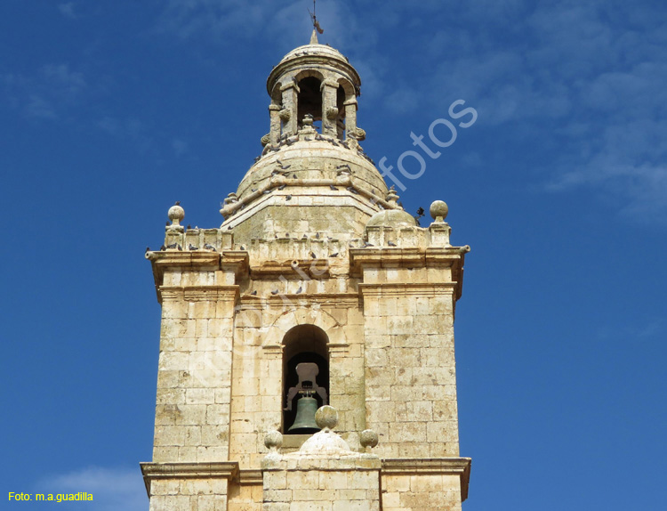 CASTROMONTE (104)