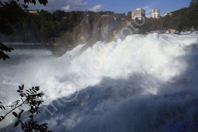 SUIZA - CATARATA DEL RHIN 007