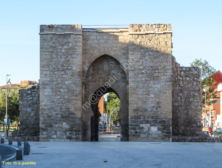 CIUDAD REAL (174) Puerta de Toledo