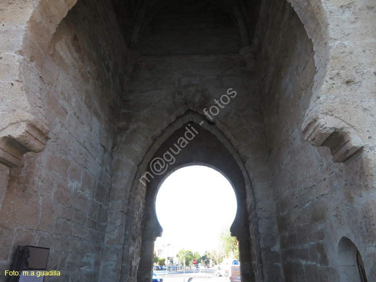 CIUDAD REAL (177) Puerta de Toledo