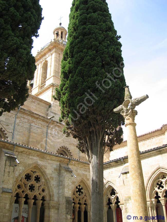 CIUDAD RODRIGO 006 Catedral