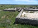 CLUNIA (117)