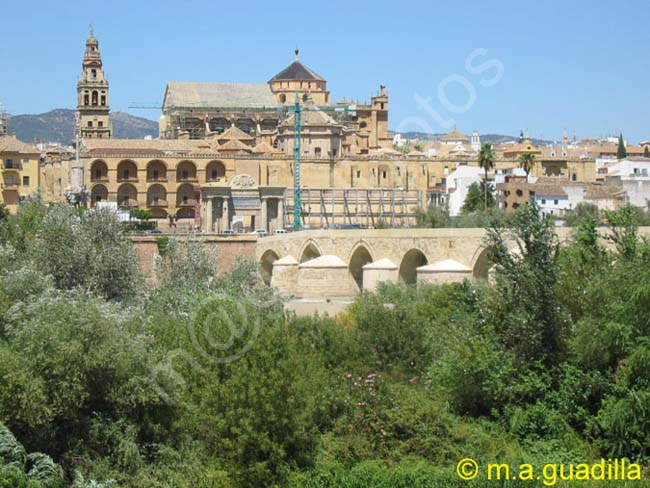 CORDOBA 004