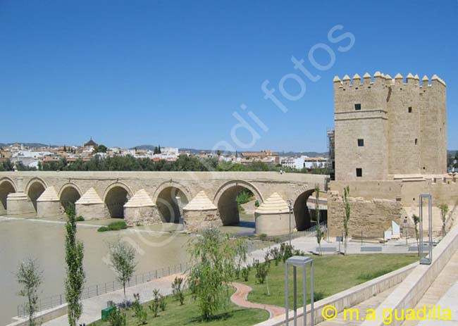 CORDOBA 005 Puente Romano