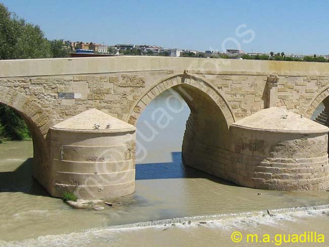 CORDOBA 025 Puente Romano