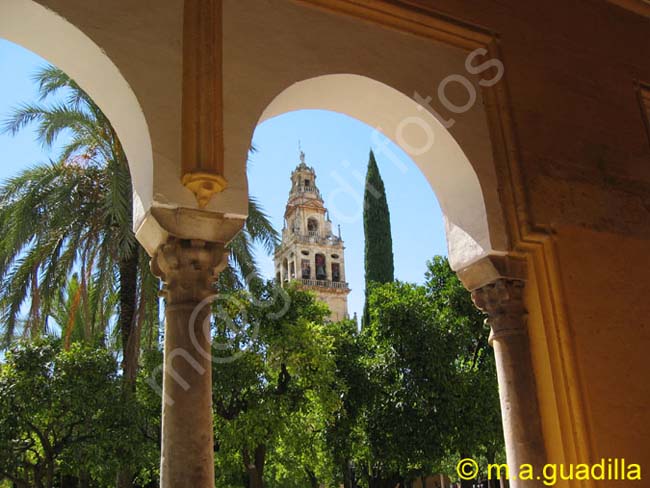 CORDOBA 043 Mezquita Catedral