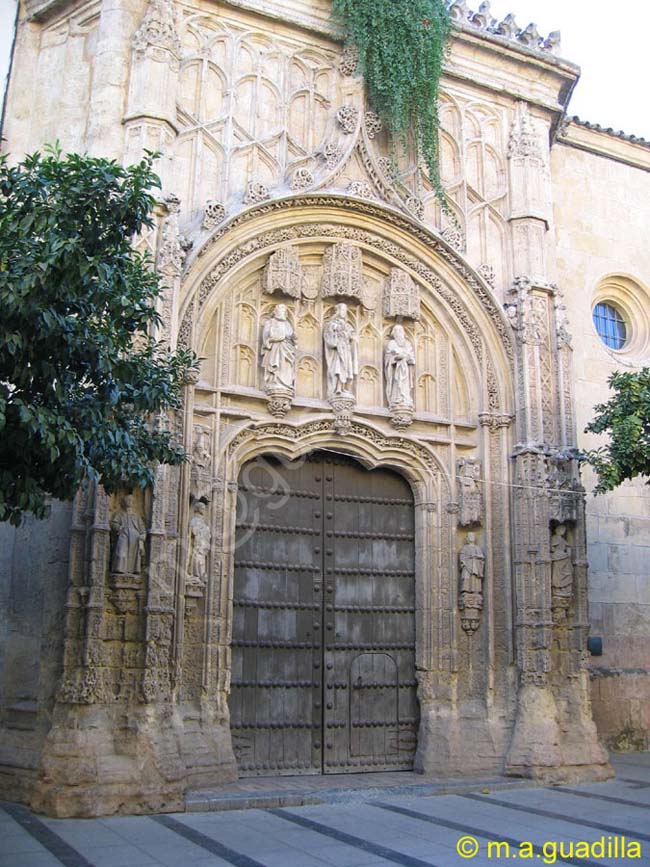 CORDOBA 245