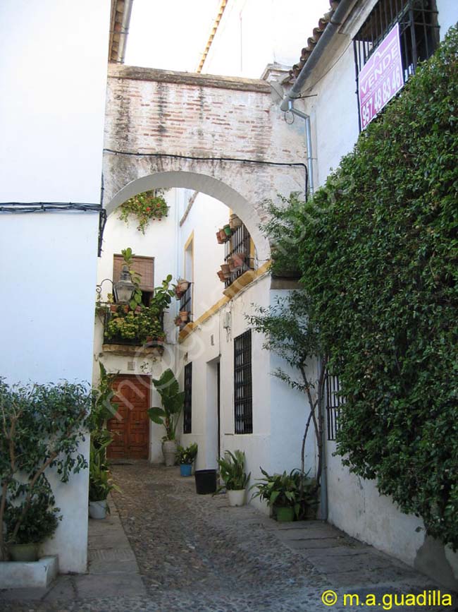 CORDOBA 249 Calle de las Flores