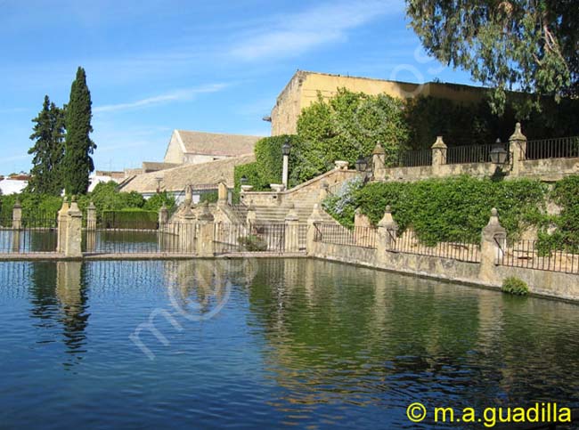 CORDOBA 421 Alcazar