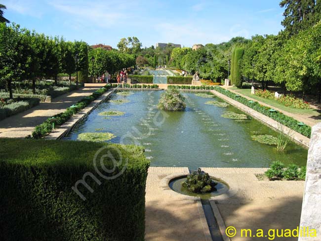 CORDOBA 426 Alcazar