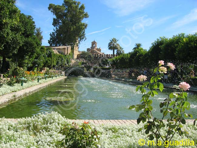 CORDOBA 433 Alcazar