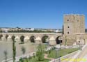 CORDOBA 005 Puente Romano