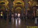 CORDOBA 078 Mezquita Catedral