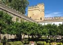 CORDOBA 455 Alcazar