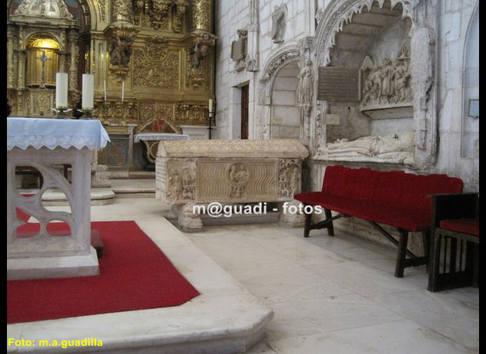 COVARRUBIAS (151)