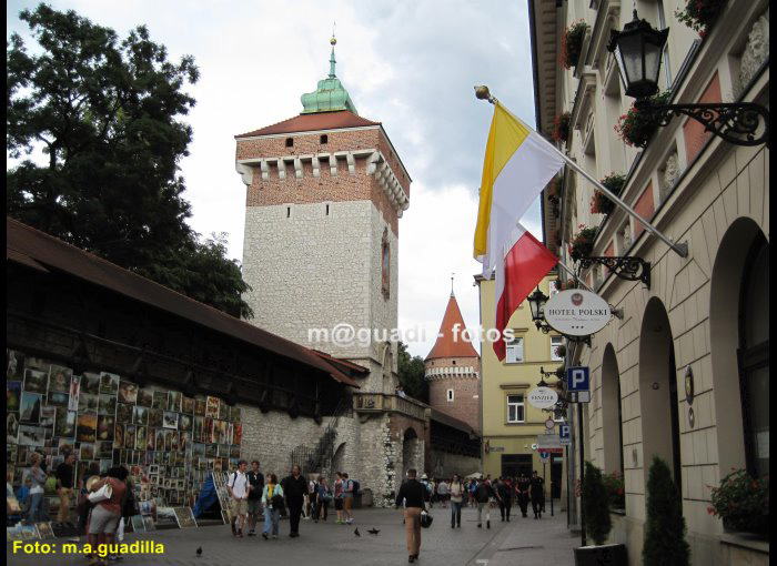 CRACOVIA (118)