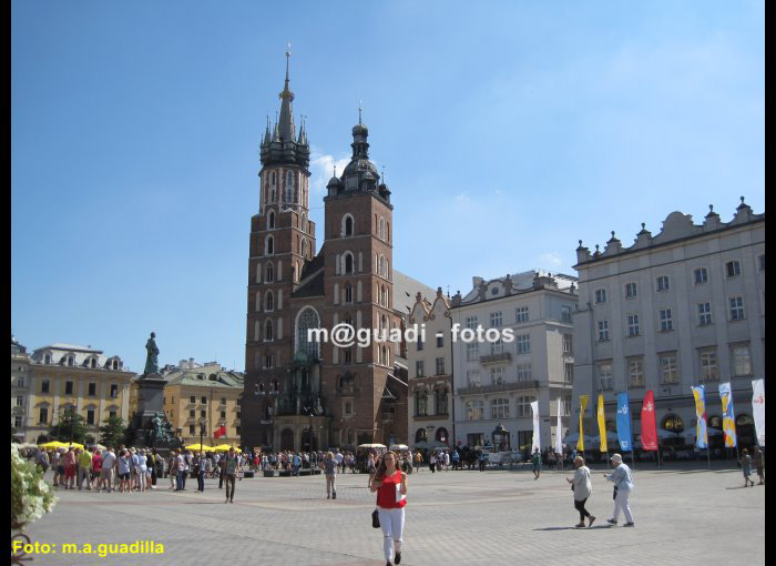 CRACOVIA (132)