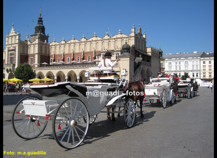 CRACOVIA (149)